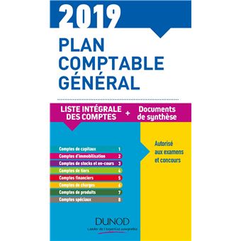Plan comptable général 2019 - 23e éd. - Plan de comptes & documents de synthèse