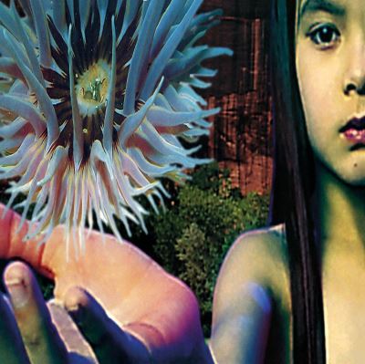 LIFEFORMS/2LP