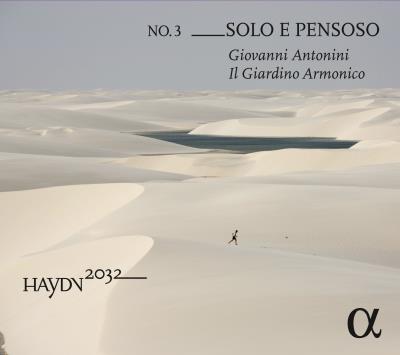 Haydn 2032 volume 3 / solo e pensoso