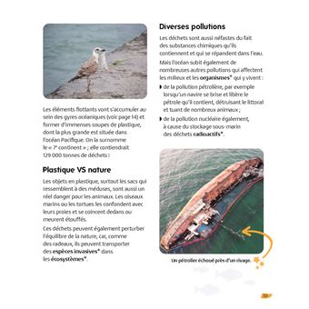 Les océans