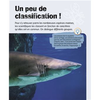Les océans