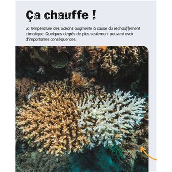 Les océans