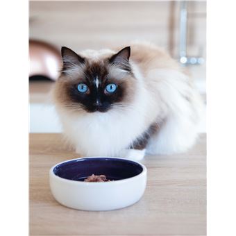 Les soins naturels pour mon chat