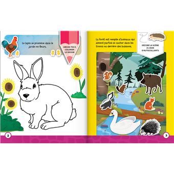 Mon cahier d'autocollants et d'activités : les animaux