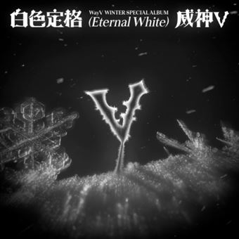 WayV - 1