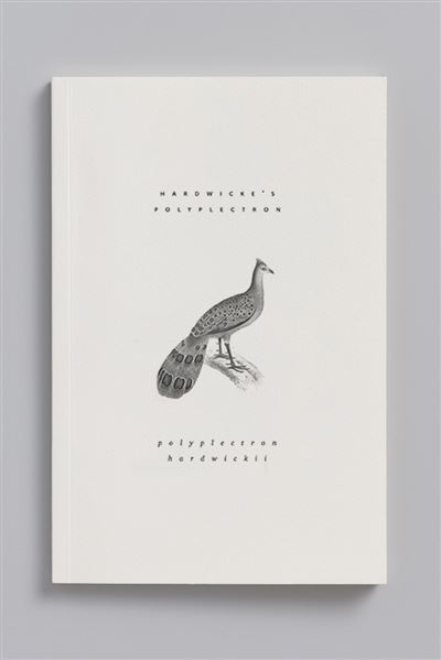 Eperonnier malais carnet animal aquatique