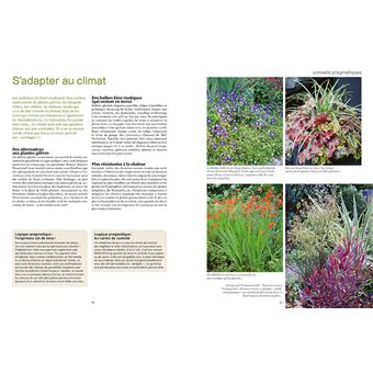 Une année au jardin avec un dingue de plantes - Idées et solutions inspirées de la nature