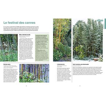 Une année au jardin avec un dingue de plantes - Idées et solutions inspirées de la nature