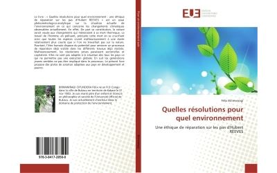 Quelles résolutions pour quel environnement