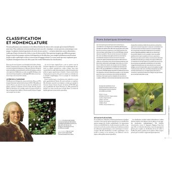 Les plantes qui tuent - Les végétaux les plus toxiques du monde et leurs stratégies de défense