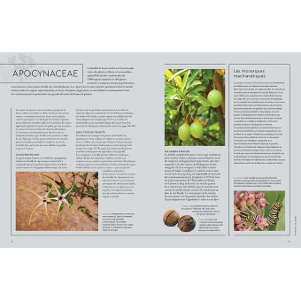 Les plantes qui tuent - Les végétaux les plus toxiques du monde et leurs stratégies de défense