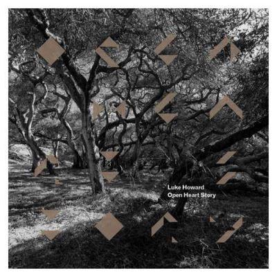 OPEN HEART STORY/LP