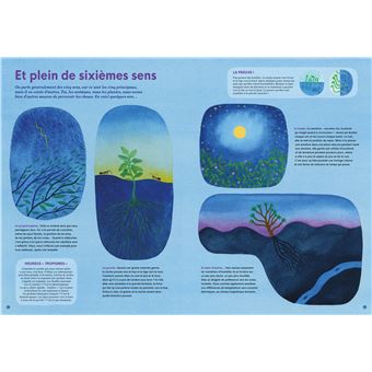 Pas bêtes, les plantes !