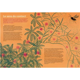 Pas bêtes, les plantes !