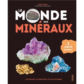 Le monde des minéraux. Les trouver, les identifier, les collectionner (1 agate offerte)