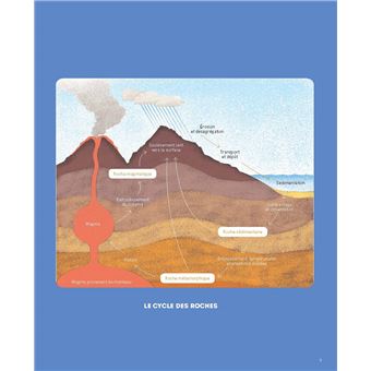 Le monde des minéraux. Les trouver, les identifier, les collectionner (1 agate offerte)