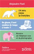Un ours passe la frontière