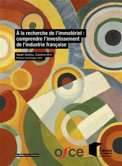 L'investissement en logiciels des entreprises francaises