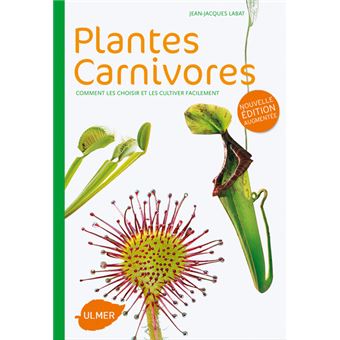 Le charme dévorant des plantes carnivores  Plante carnivore, Plantes  inhabituelles, Plante