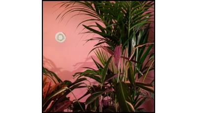 Mixed Blessings (Vinyl)