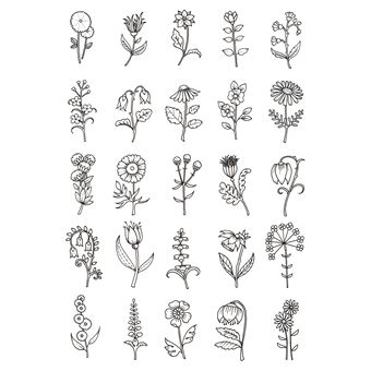 30 jours de créativité avec Johanna Basford