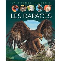 Les rapaces