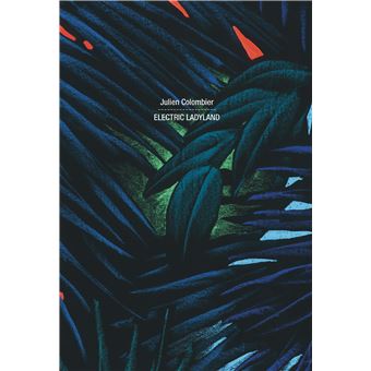 Julien Colombier. Electric Ladyland