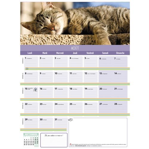 Frigobloc mensuel chats 2022 - 16 mois - (de sept. 2021 à déc. 2022) -  broché - Collectif - Achat Livre