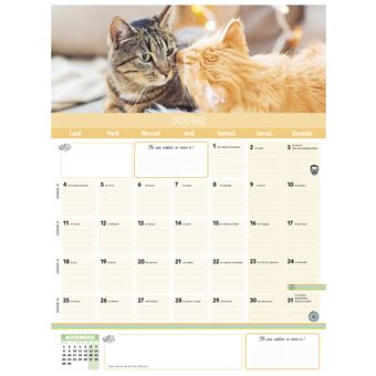 Frigobloc mensuel chats 2022 - 16 mois - (de sept. 2021 à déc