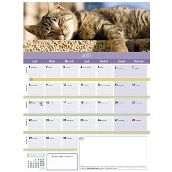Frigobloc mensuel chats 2022 - 16 mois - (de sept. 2021 à déc
