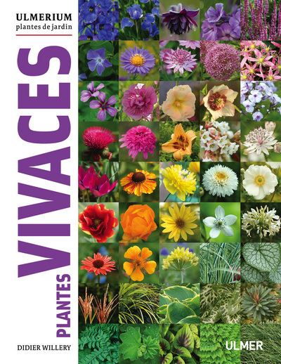 Plantes vivaces - Didier Willery - relié