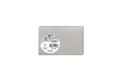 Lot de 25 cartes A4 Pollen 8,2 x 12,8 cm Argent