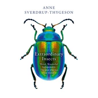 EXTRAORDINARY INSECTS: WEIRD. WONDERFUL. INDISPENSABLE.