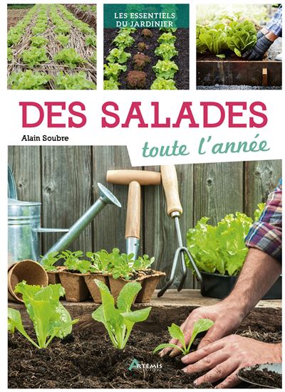 Des salades toute l'année - Alain Soubre (2022)