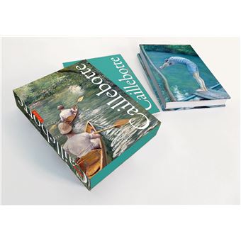 Caillebotte. Coffret l'essentiel