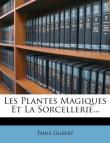 Plantes magiques et la sorcellerie