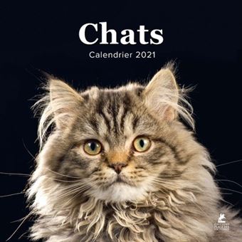 Chats Calendrier 21 Broche Collectif Achat Livre Fnac