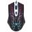 ALPHAOME TANGARA S15 SOURIS GAMING_0