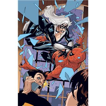 Spider-Man/Black Cat: L'enfer de la violence