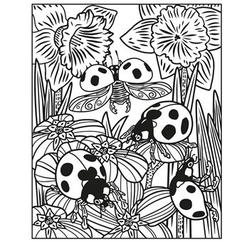 Les petites bêtes - La peinture magique