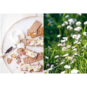 Chips de dahlias & Muffins aux coquelicots - Recettes de cueillette dans les prés, les forêts et les