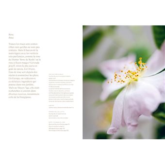 Chips de dahlias & Muffins aux coquelicots - Recettes de cueillette dans les prés, les forêts et les