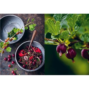 Chips de dahlias & Muffins aux coquelicots - Recettes de cueillette dans les prés, les forêts et les