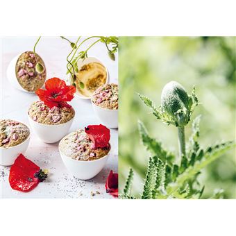 Chips de dahlias & Muffins aux coquelicots - Recettes de cueillette dans les prés, les forêts et les