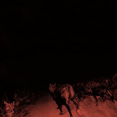 SHADOW ON EVERYTHING/2LP