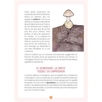 Les champignons