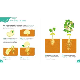 Le Livre de découvertes de mes 5 ans