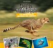 Les incroyables records des animaux