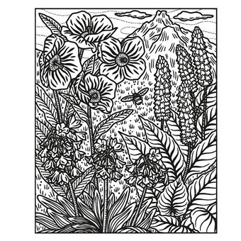 Les fleurs sauvages - La peinture magique