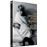 Les Amours d'une blonde DVD